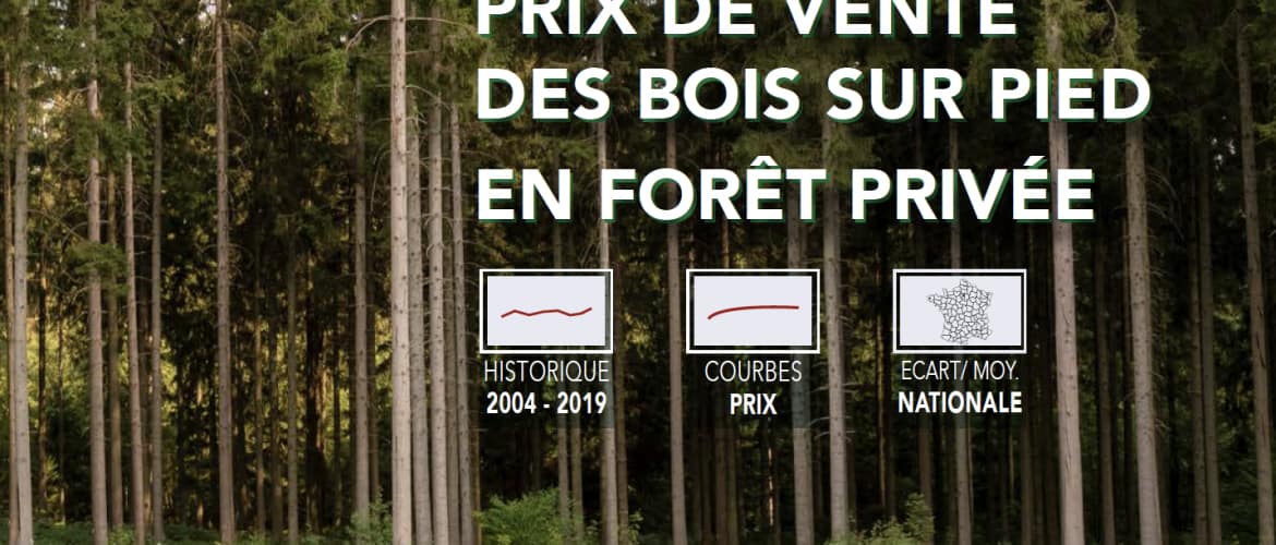 Indicateur 2020 du prix de vente des bois sur pied en forêt privée – France Bois Forêt