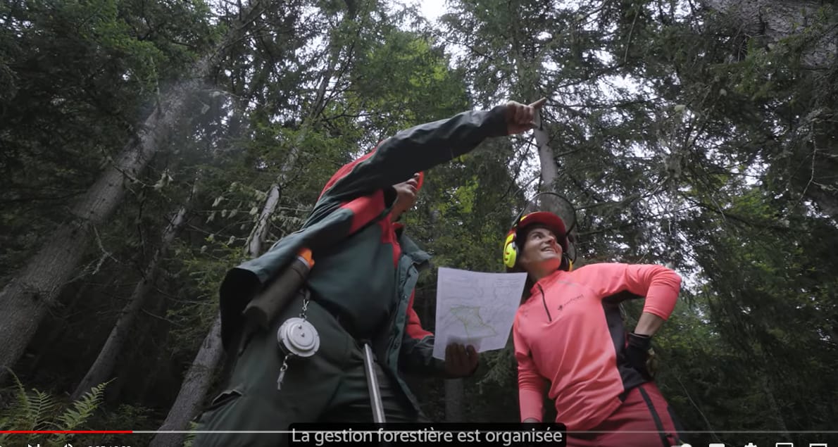 info-intox: On déforeste en France