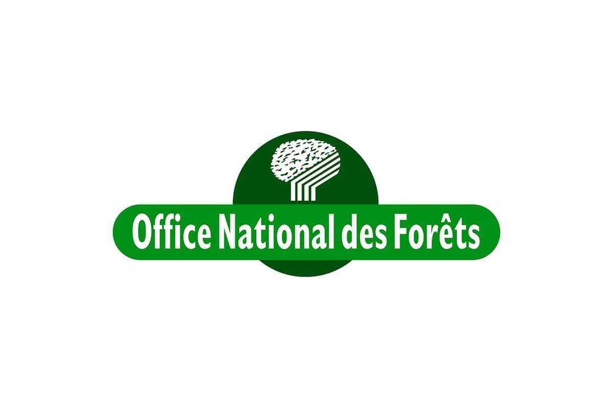 De la graine à l&rsquo;arbre, coup de pousse pour les forêts françaises – ONF