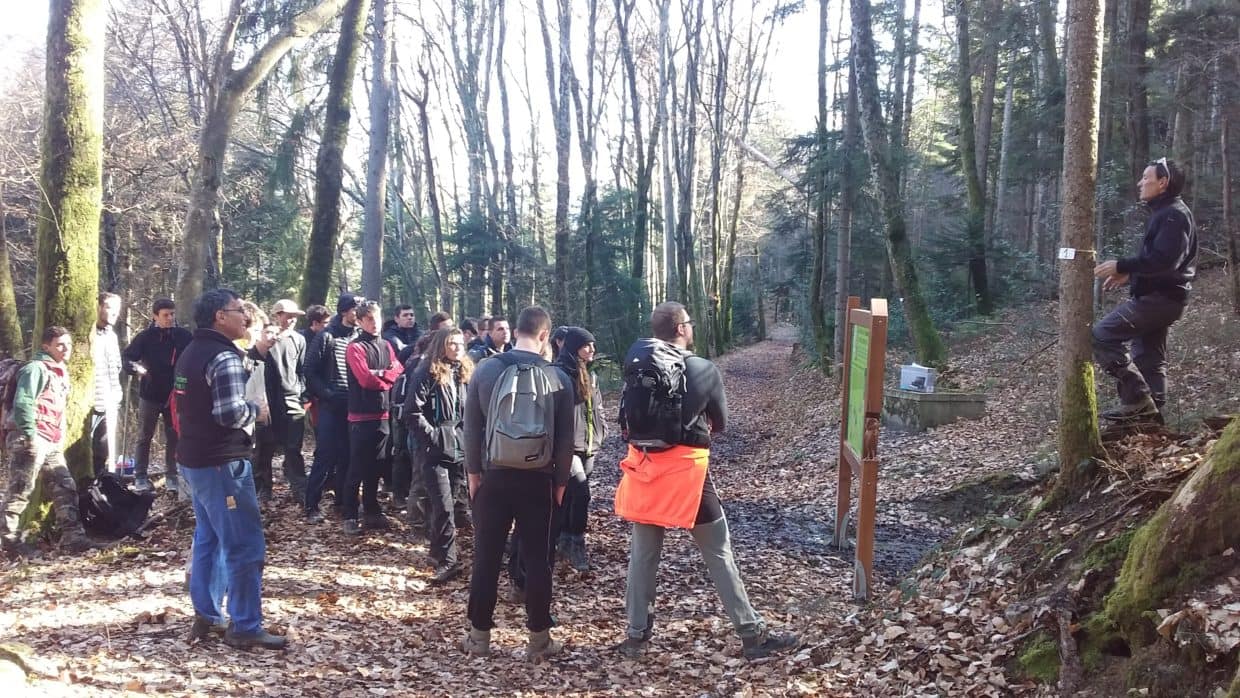 Une belle journée en futaie irrégulière à FAVERGES-SEYTHENEX