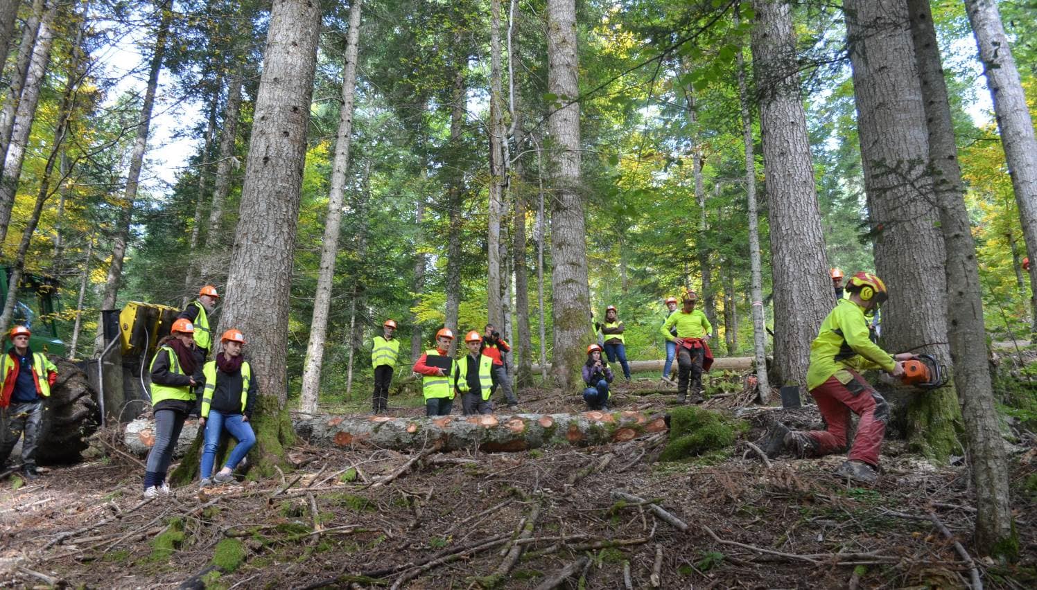 découverte des métiers de la forêt en BAUGES