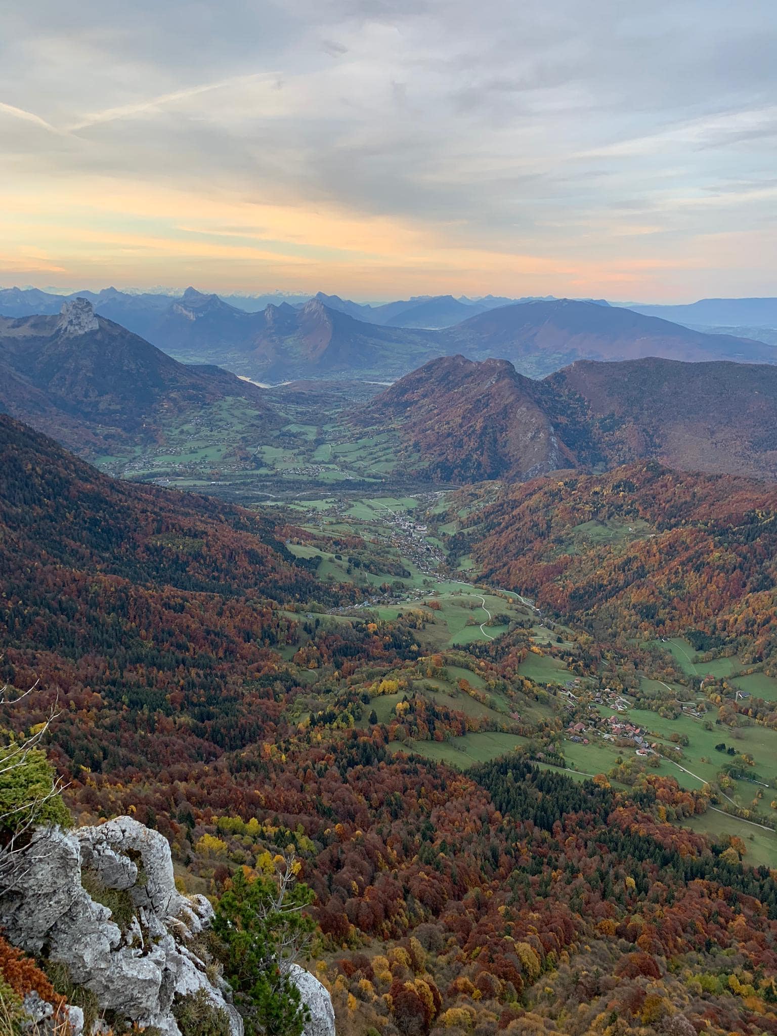 Les derniers résultats de l&rsquo;Inventaire Forestier National