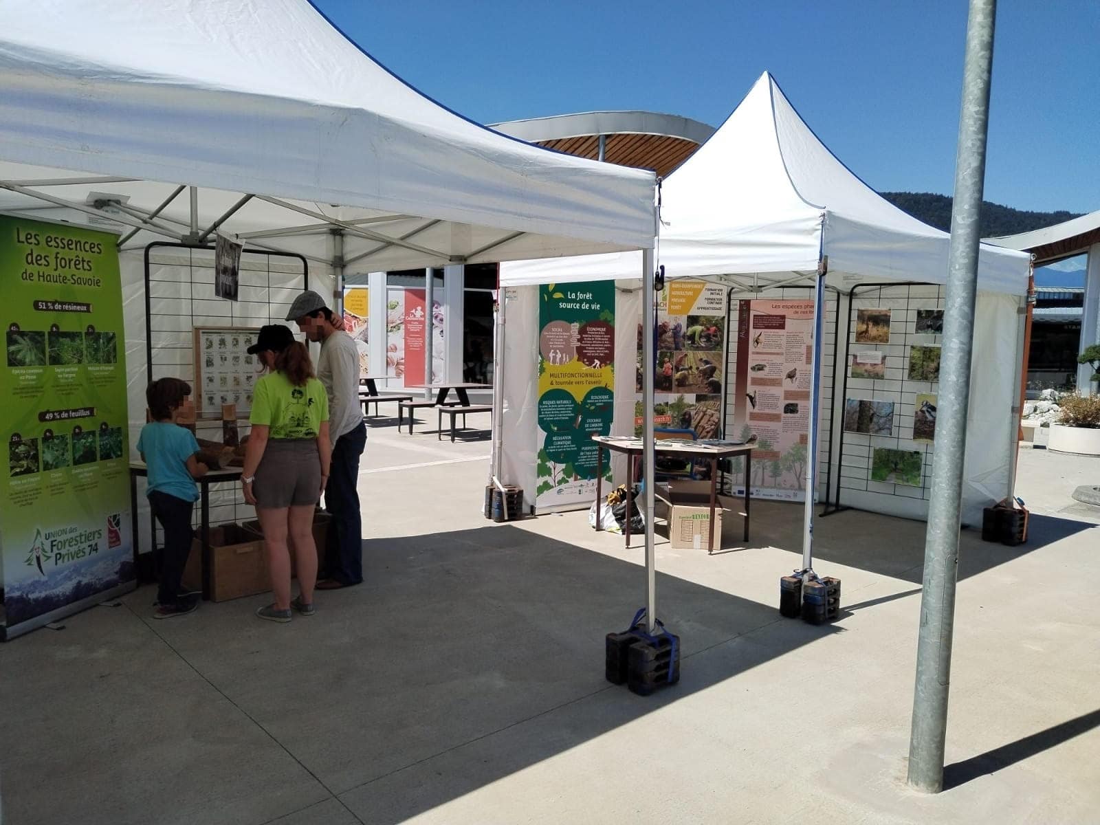 Un stand de la forêt privée sur l&rsquo;autoroute