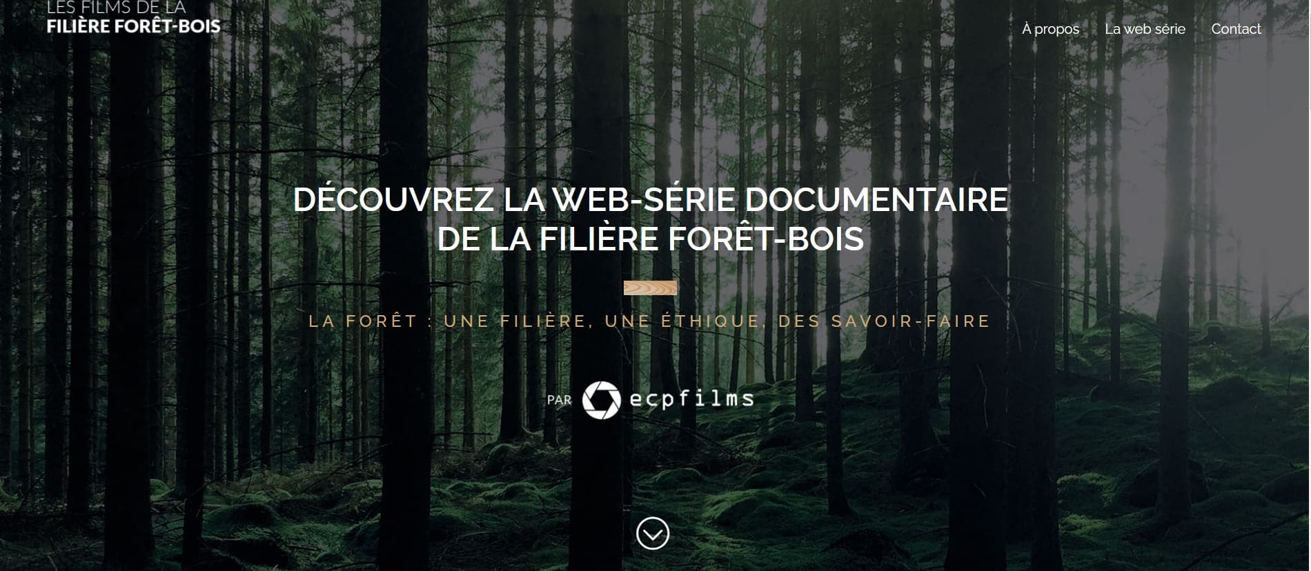 Découvrez la web série documentaire de la filière forêt – bois