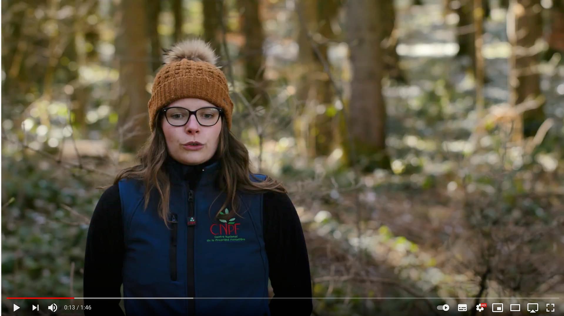 Forêts d&rsquo;épicéas, des solutions pour l&rsquo;avenir ? Partie 2/2