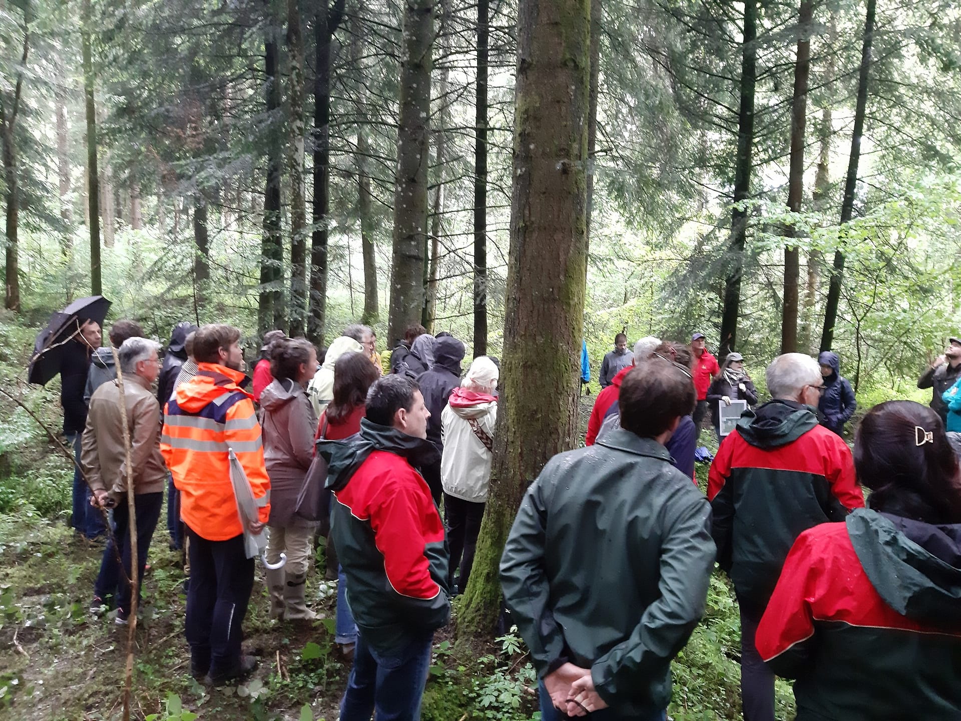 cycle de l&rsquo;eau en forêt au forum forestier lémantique