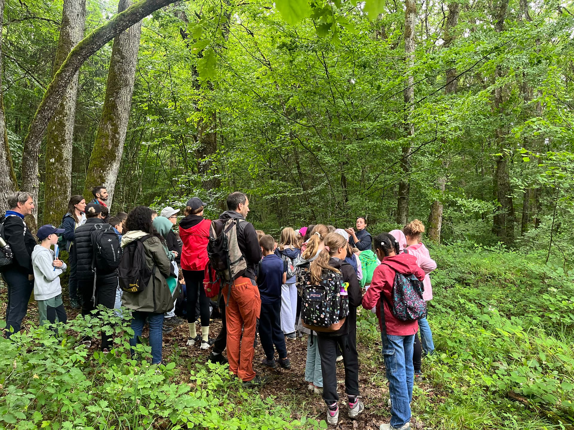 Animation scolaire en forêt à l’école de Feigères