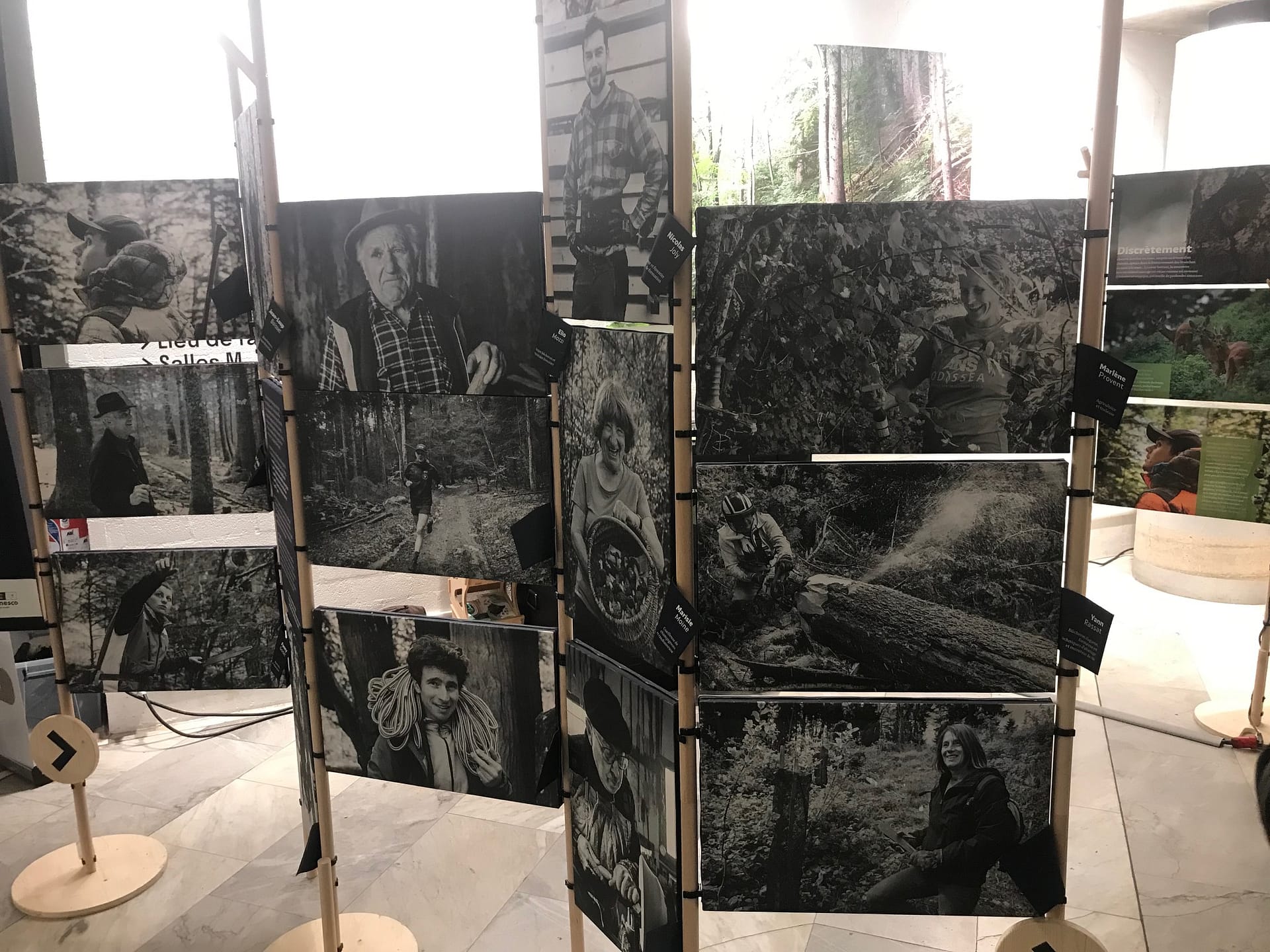 Vernissage de l’exposition « entre les branches » à l’espace Malraux à CHAMBERY
