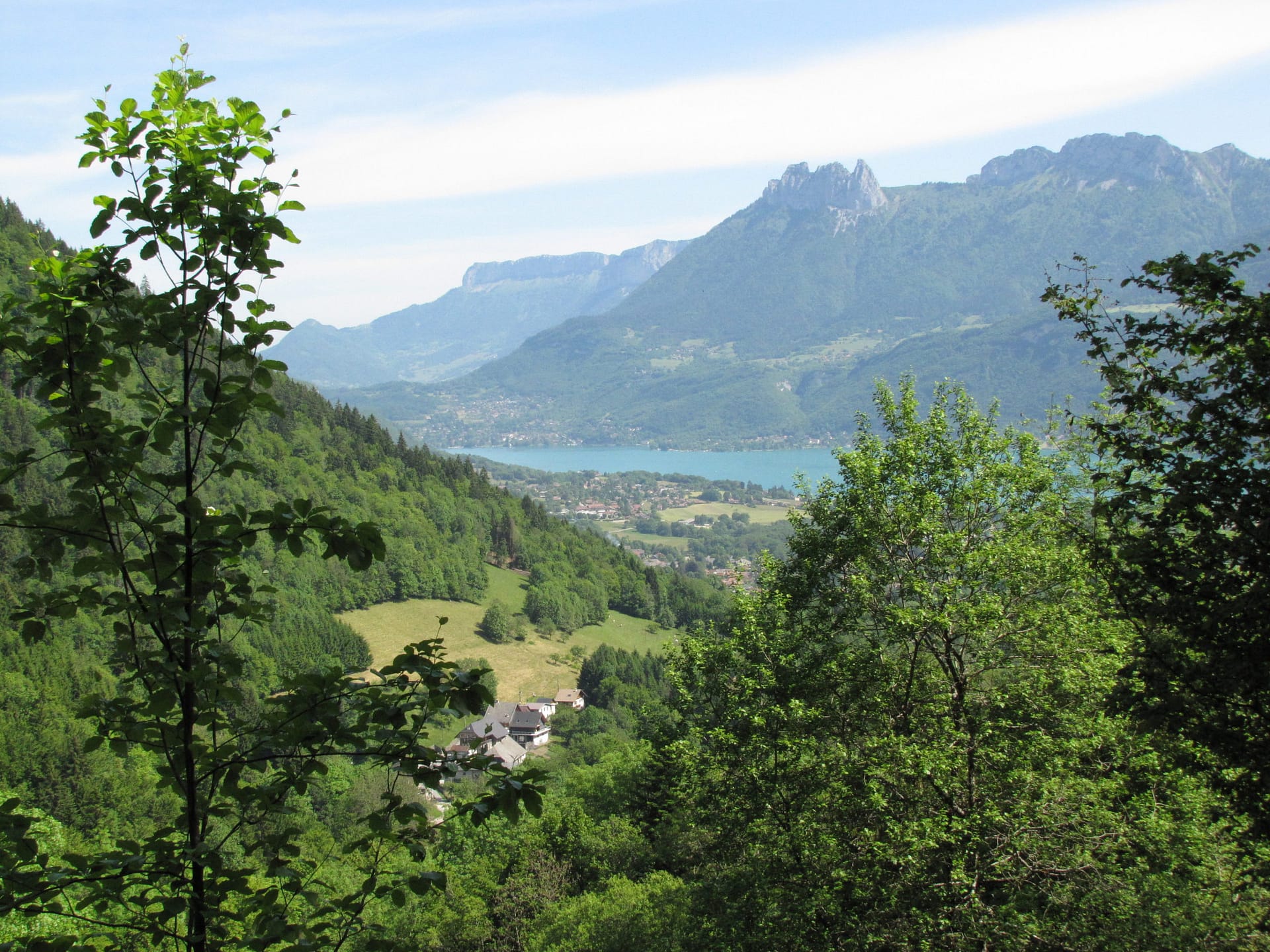 Bilan de la santé des forêts des SAVOIE 2024