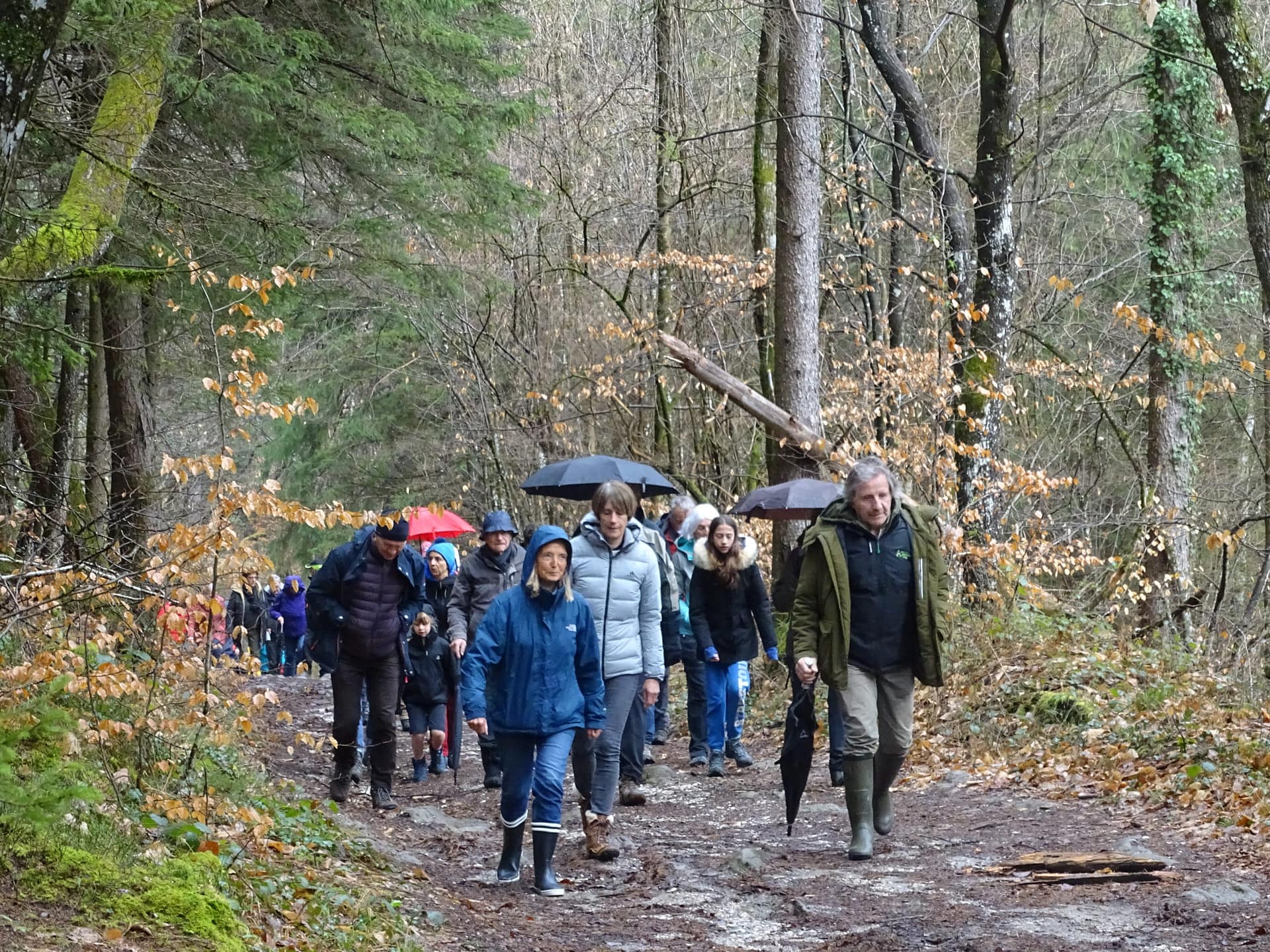« forêts ouvertes 2023 »