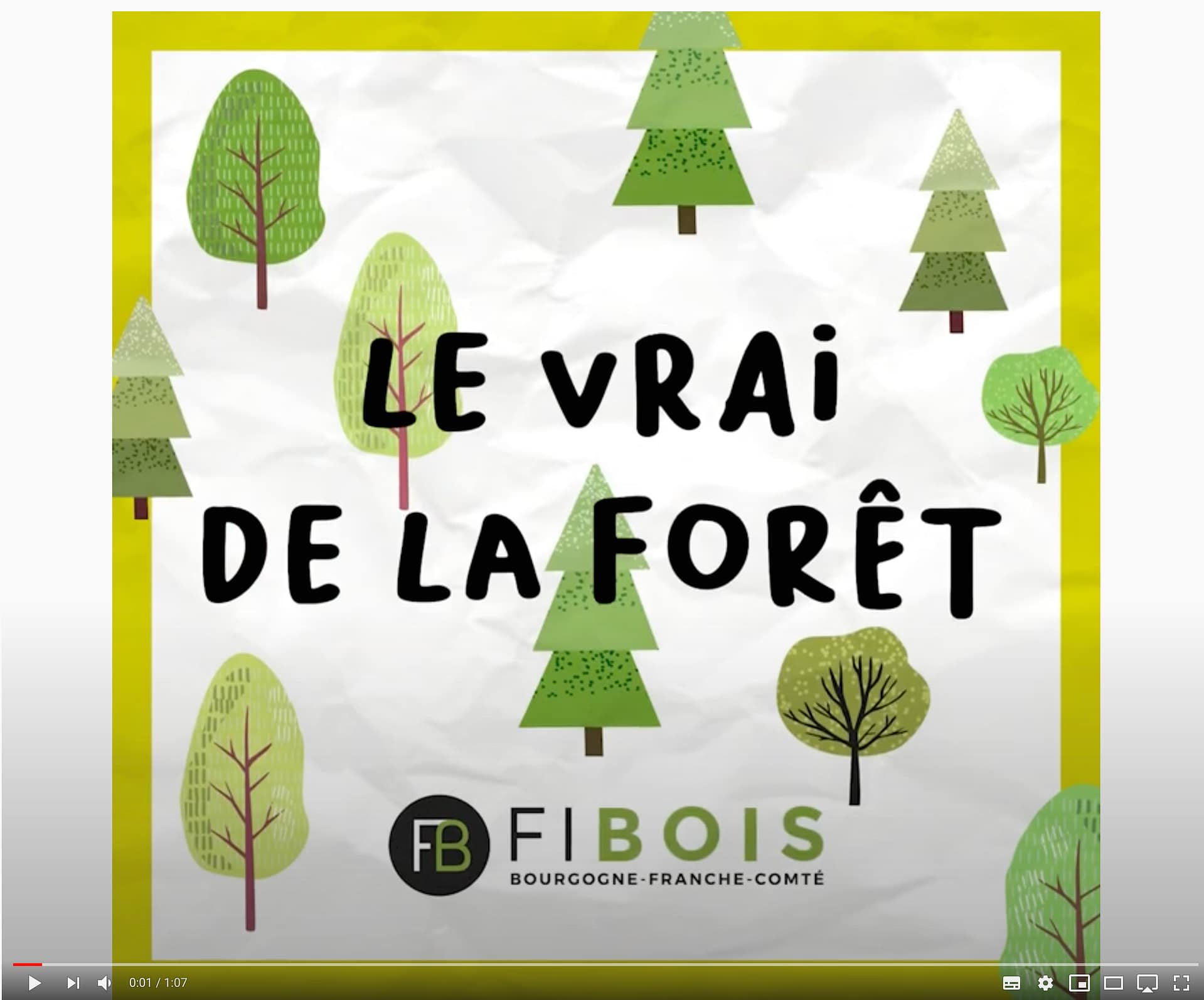 Changement climatique : les arbres sont-ils menacés ? – FIBOIS