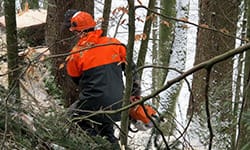 Enquête sur la sécurité en exploitation forestière