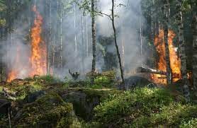 Ayons les bons réflexes pour éviter les départs de feu