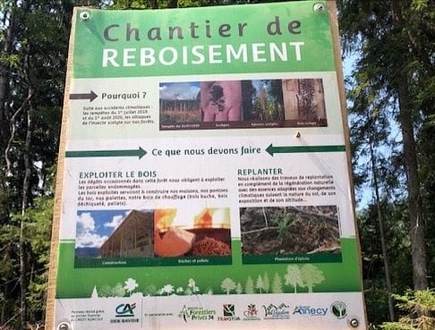 Plantons l’avenir