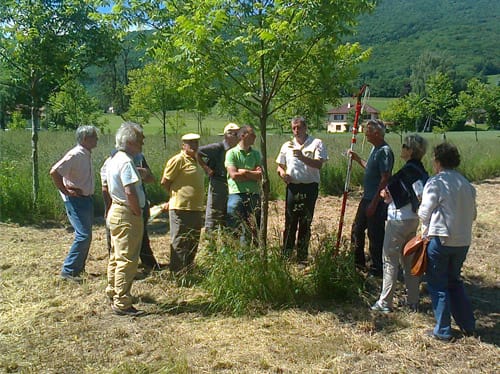 réunions d&rsquo;information forestière Salève-Albanais-Genevois