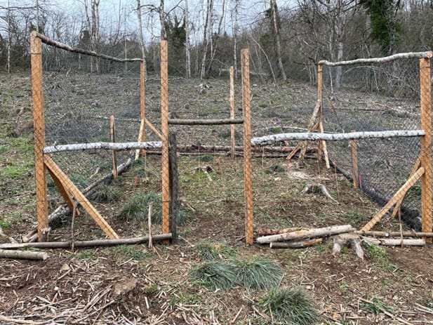 Mise en œuvre un site d’observation de l’équilibre sylvo-cynégétique sur la commune de Vulbens