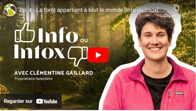 Info-intox: la forêt appartient à tout le monde