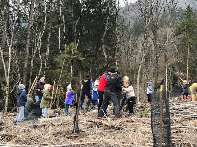 Plantation forestière par les élèves des écoles de LESCHAUX et ENTREVERNES