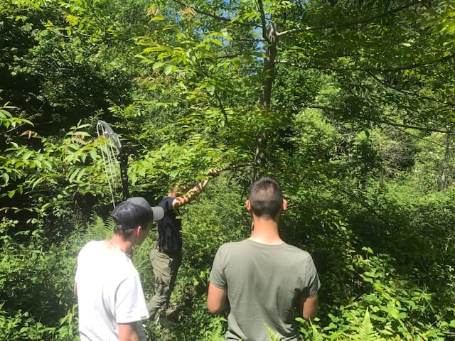 les élèves BTA Forêt en formation élagage et taille de feuillus à LESCHAUX