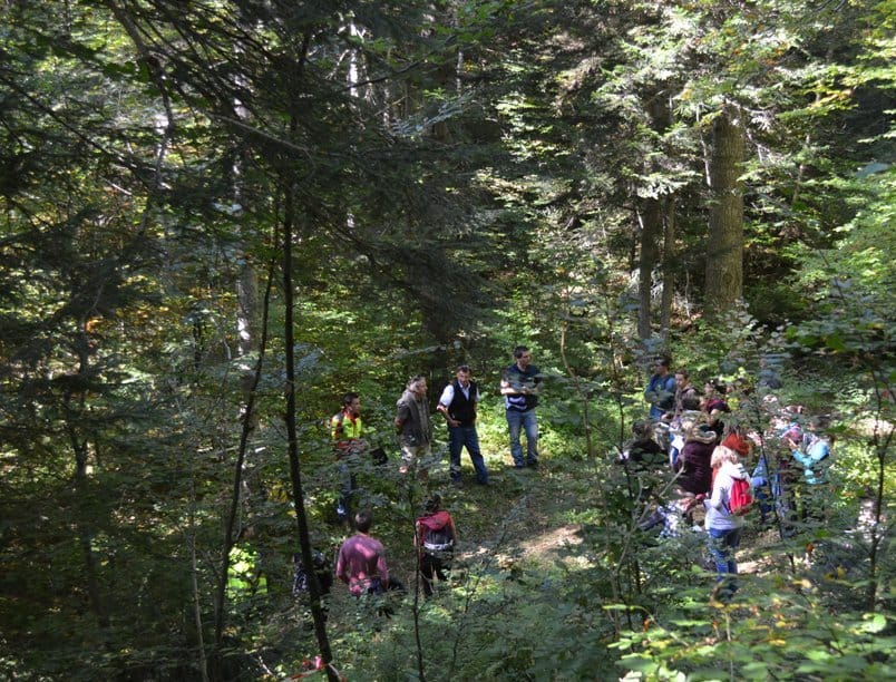 la forêt privée à la journée découverte de la forêt aux AILLONS (73)