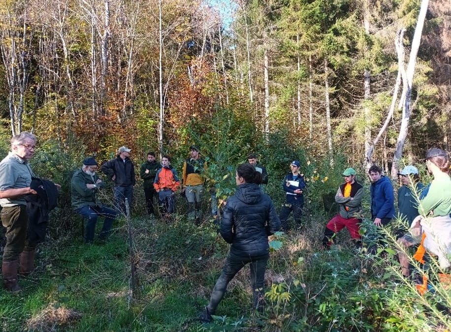 Formation à la plantation pour les entreprises de travaux forestiers