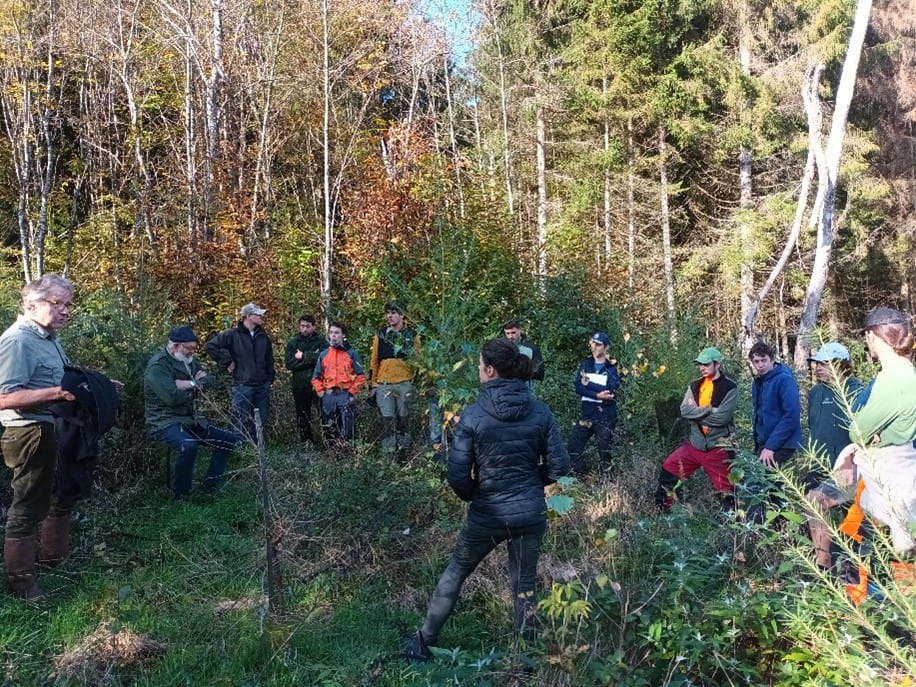 Formation à la plantation pour les entreprises de travaux forestiers