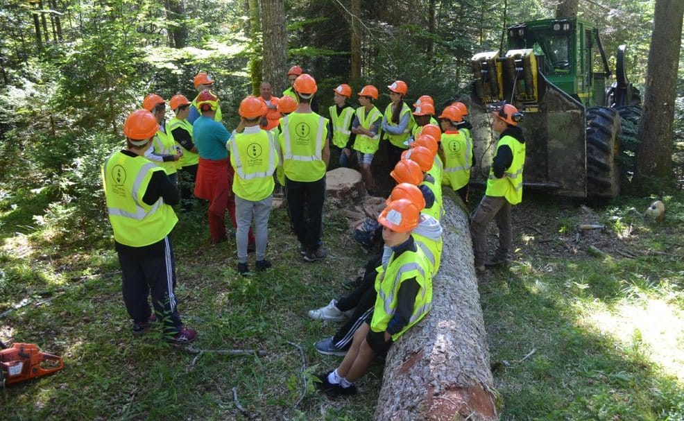 journées de découverte forestière en BAUGES