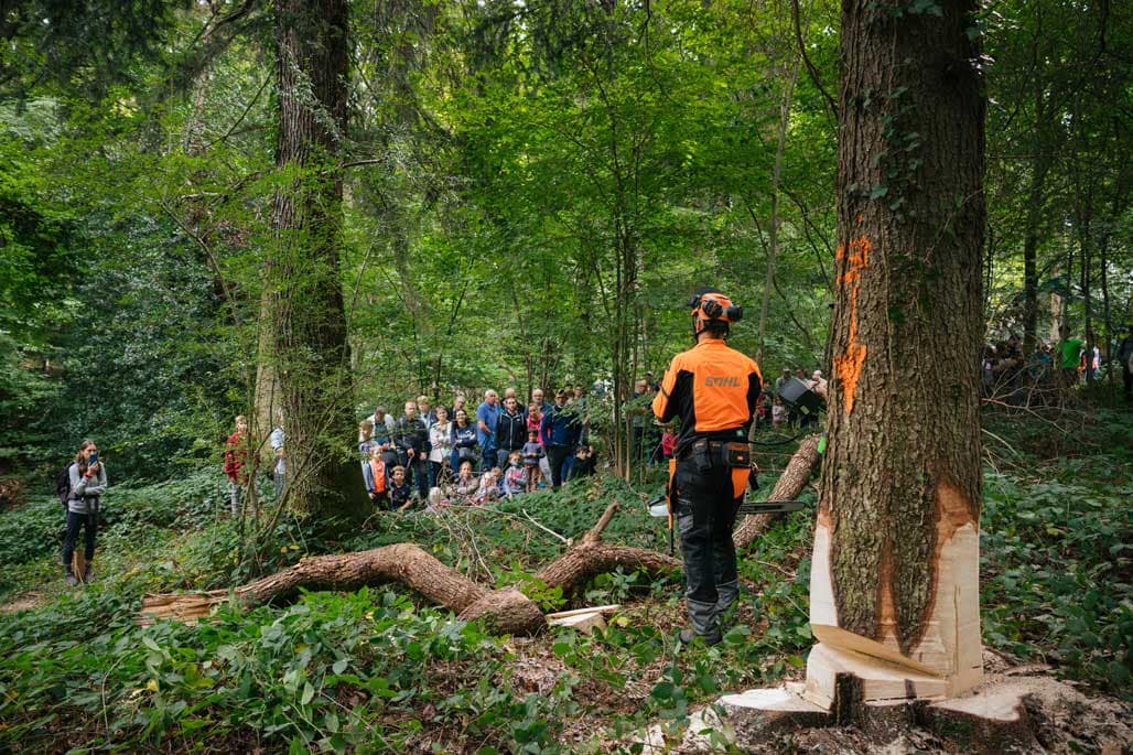 Fête du bois et de la forêt 2021