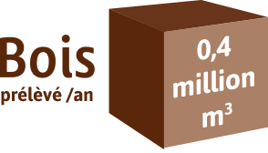 Bois-preleve
