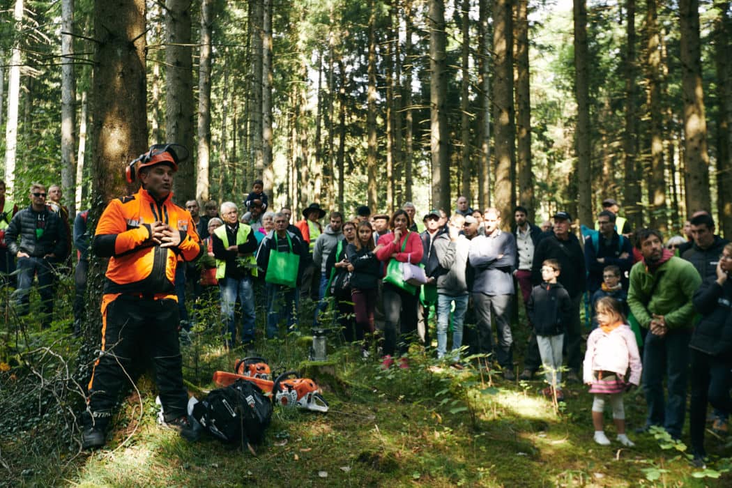 Fête du bois et de la forêt 2018