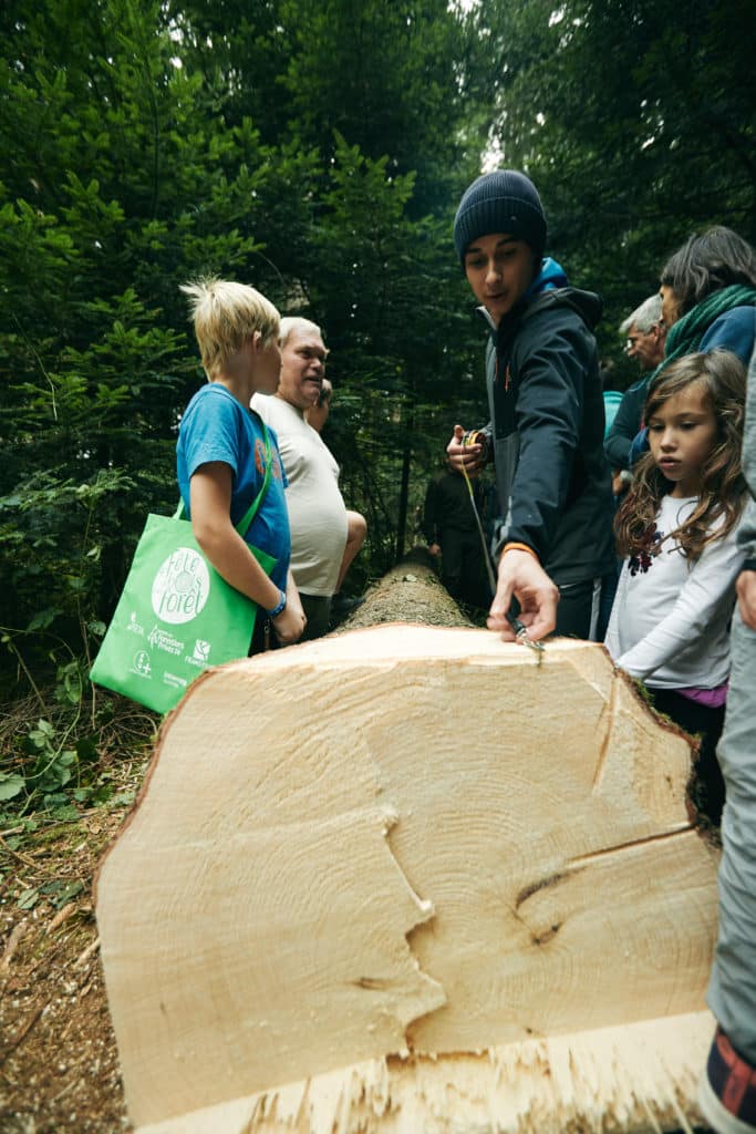 Fête du bois et de la forêt 2018
