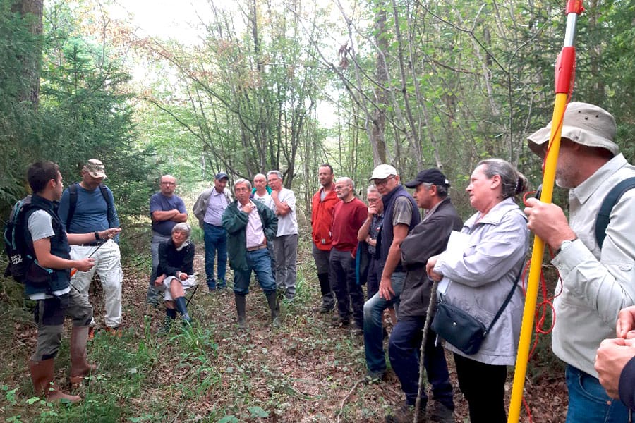 Chablais-Taille-arbre-formation-74-sectionUFP74