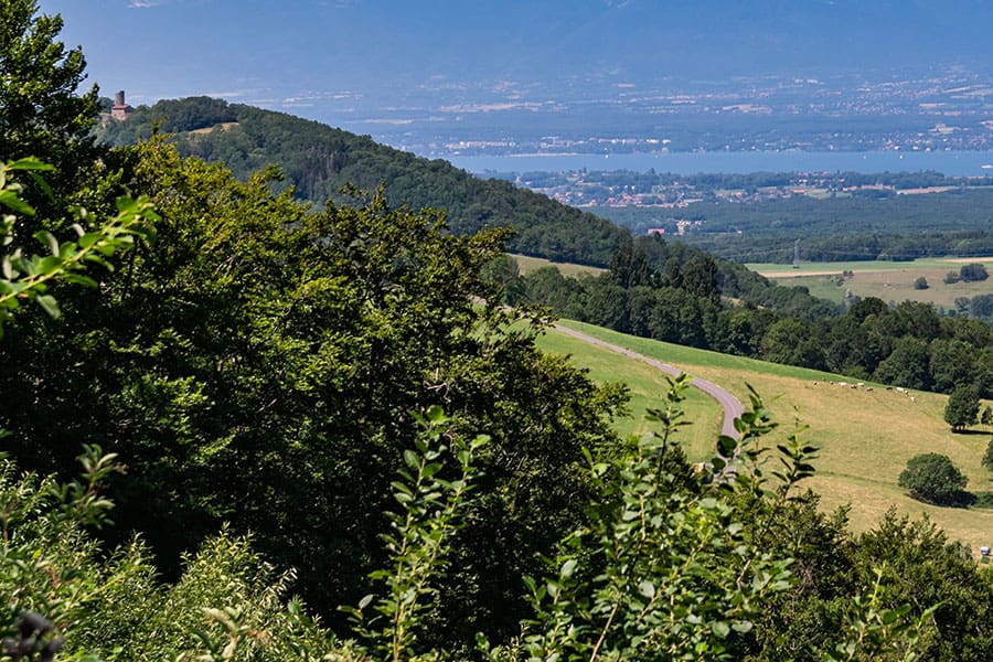 Chablais-UFP74 Propriétaires forestiers Chablais