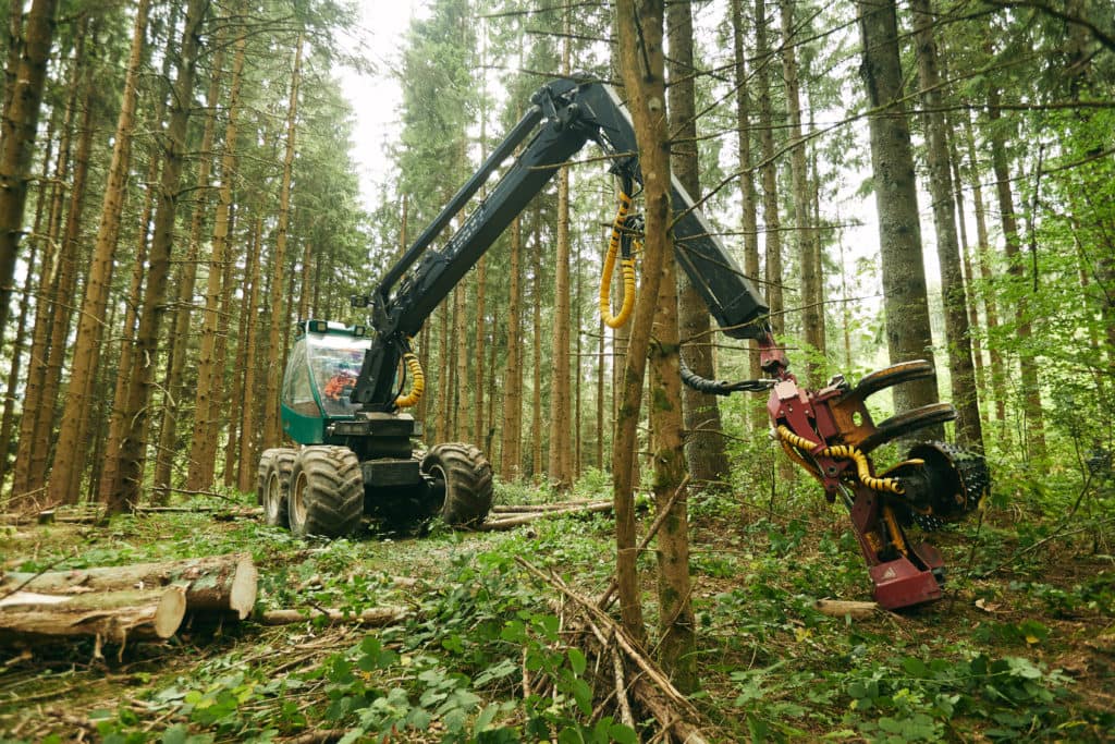 Fête du bois et de la forêt 2018