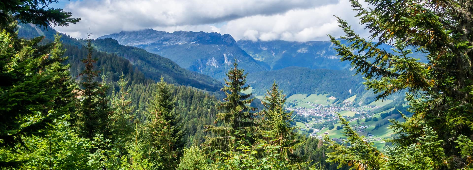 Foret-Haute-Savoie-Bandeau-9