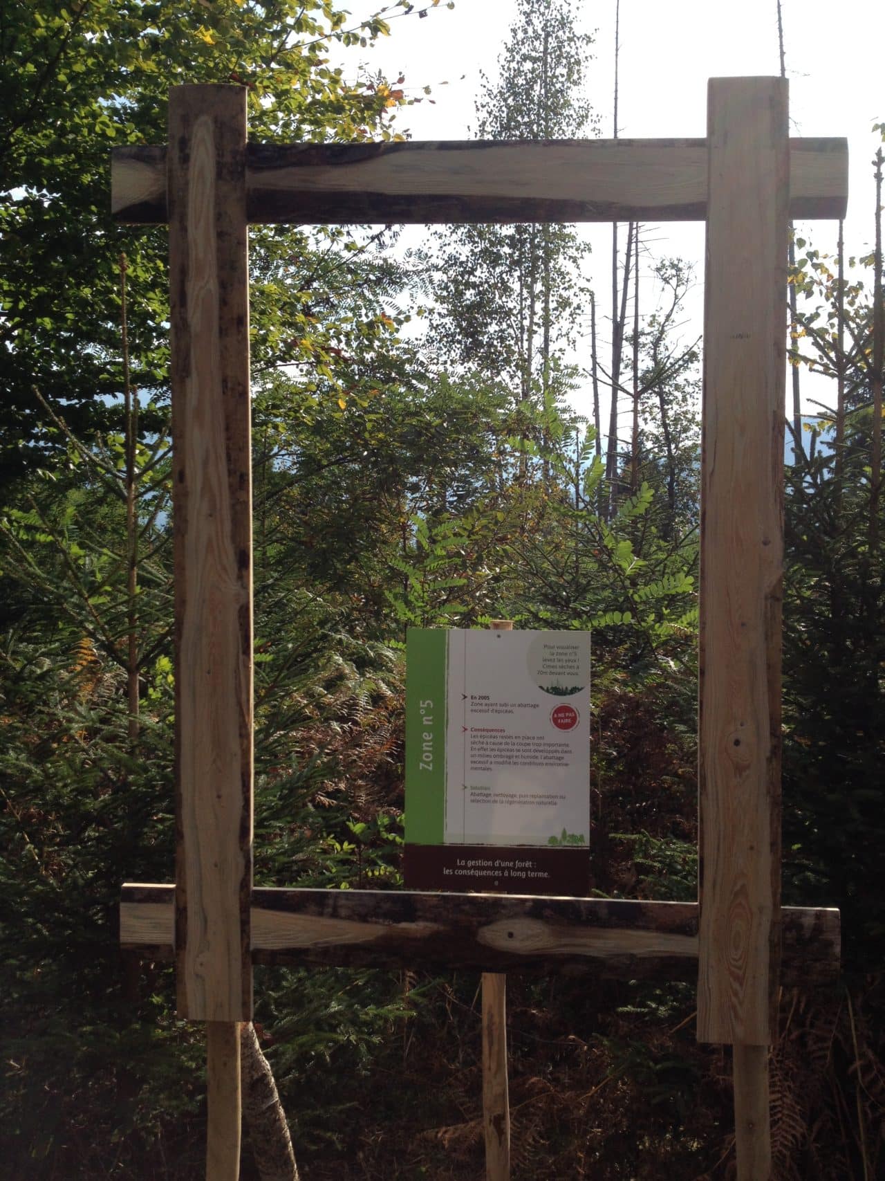 Fete du bois et de la foret 2014