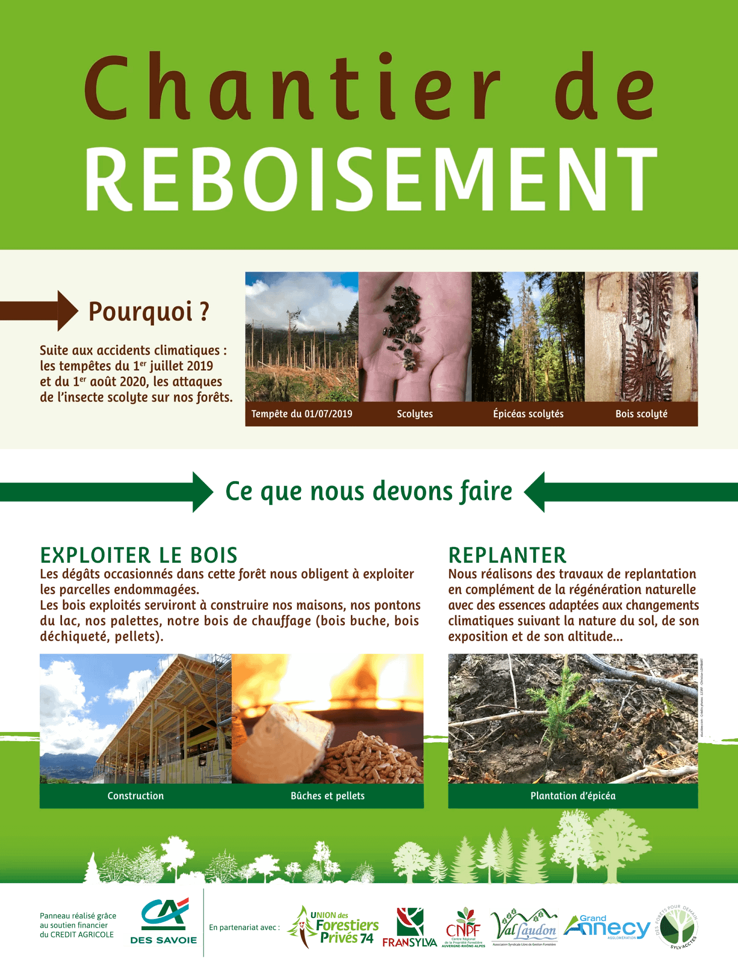 La-foret-CHANTIER-Reboisement-UFP74