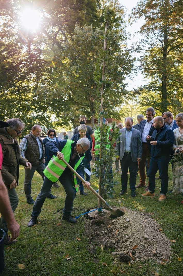 Fête du bois et de la forêt 2021