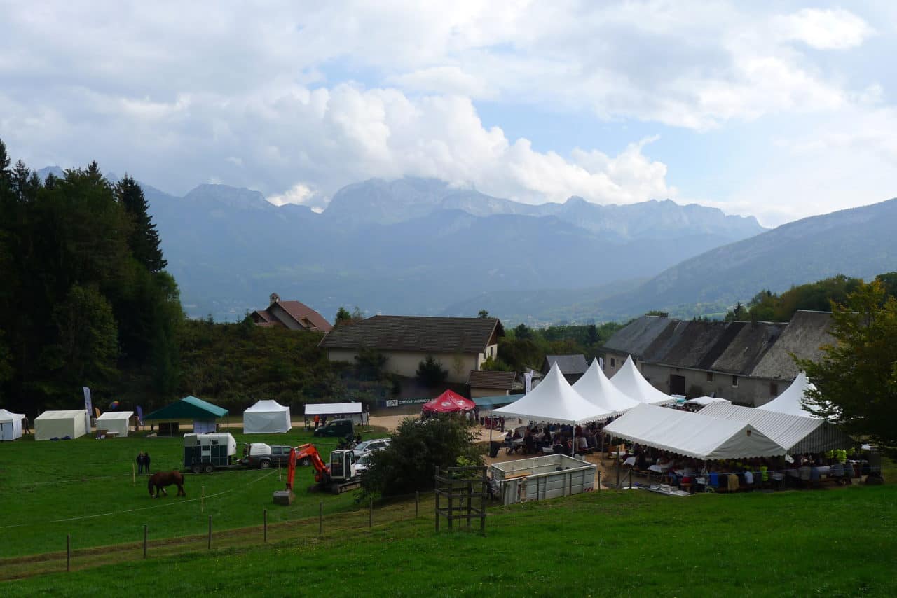 fête de la foret 2014
