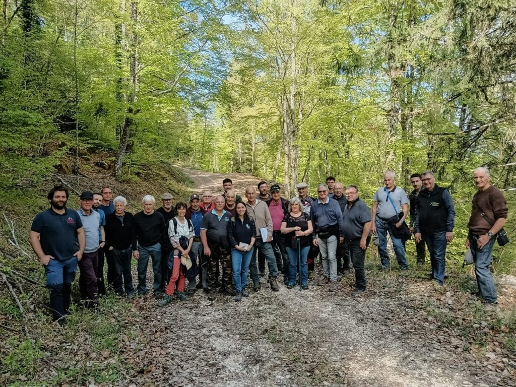 Utilisation des bois feuillus BAUGES
