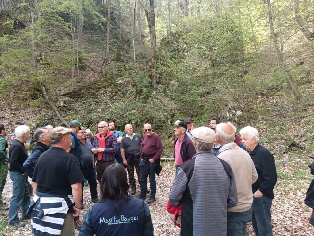 Utilisation des bois feuillus BAUGES