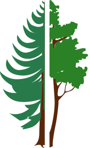 Resineux-Feuillus-FORET-74