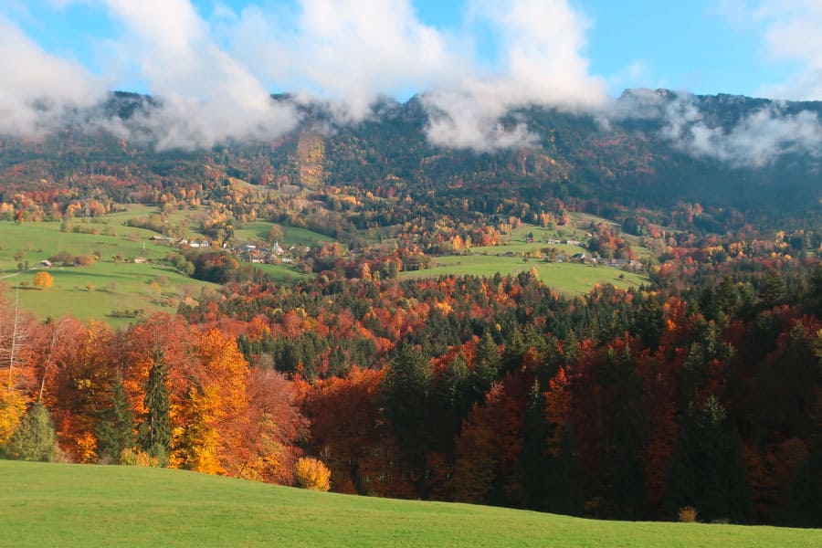 Section-BAUGES-Automne Propriétaires forestiers Bauges
