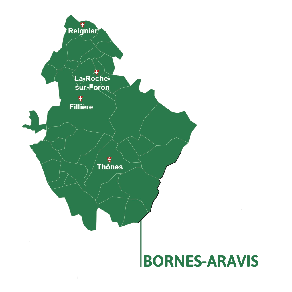 Section-BORNES-ARAVIS-Carte Carte-section-BORNES-ARAVIS