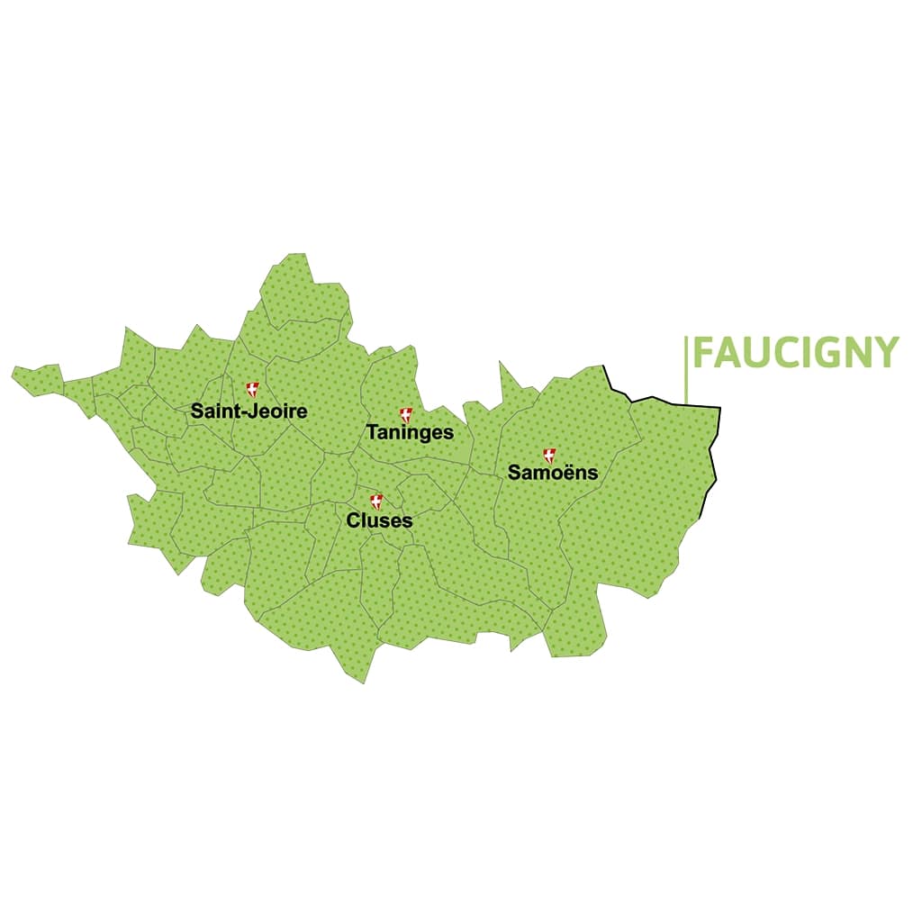 Section-FAUCIGNY-Carte Carte-section-FAUCIGNY