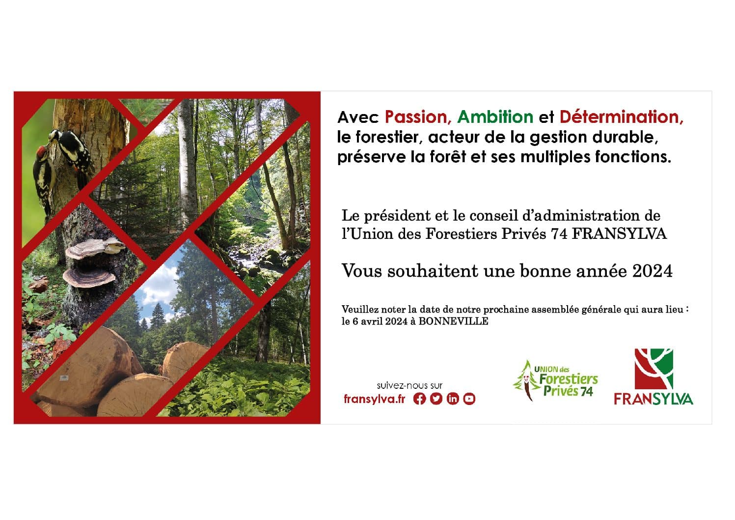 Bonne Année 2024