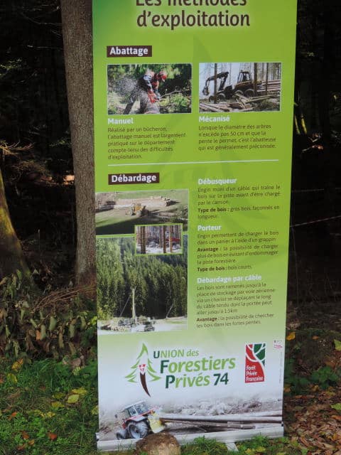 fête de la foret 2014